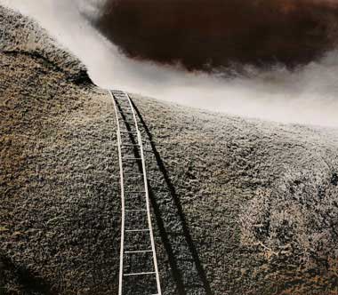 Denny Moers: Ladder Over Fauna Wall